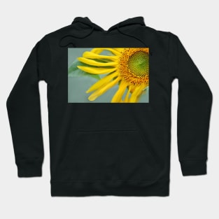 Floral Pinwheel Hoodie